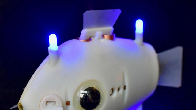 Cá robot Bluebot được trang bị 2 camera ở mắt và 3 đèn LED xanh trên thân