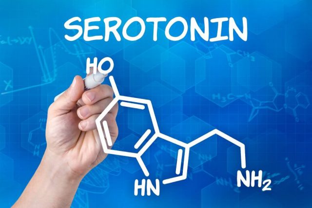 Serotonin gây ra trầm cảm là serotonin ở não.