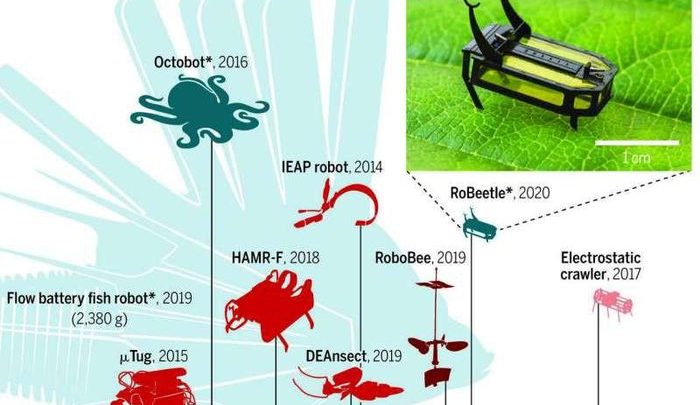 RoBeetle robot siêu nhỏ hoạt động nhờ sử dụng nhiên liệu lỏng methanol