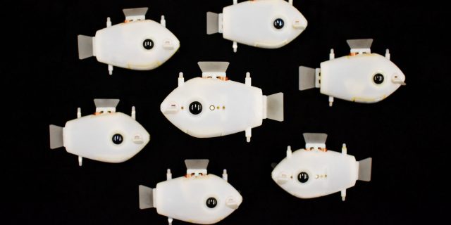 Cá robot mini có khả năng tự bơi thành đàn ở dưới nước